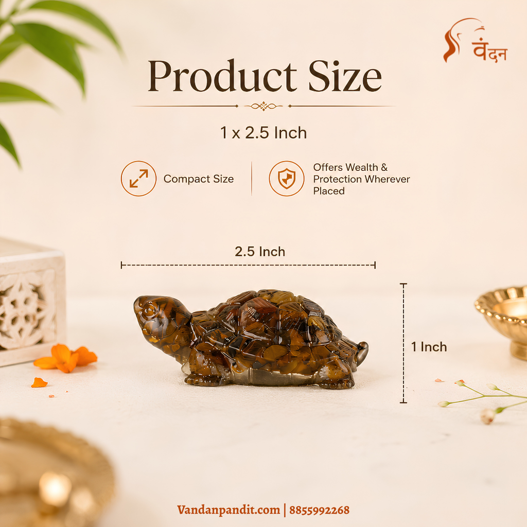 Dhan Kuber Tortoise For Vastu